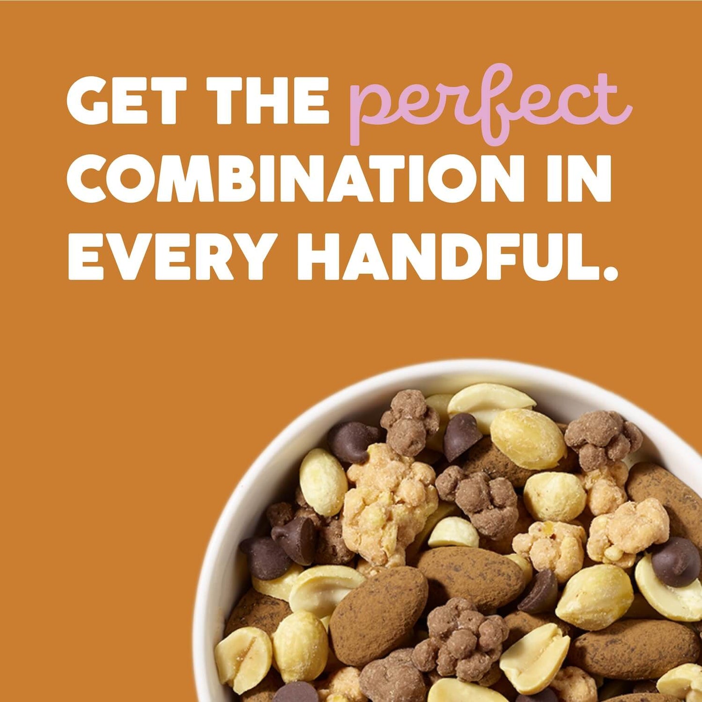 Chocolate Peanut Butter Bliss