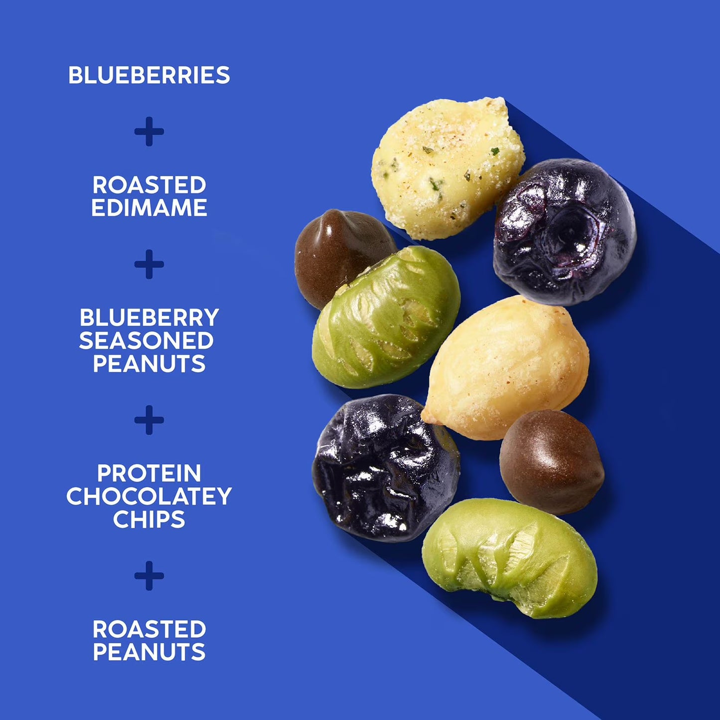 Chocolatey Blueberry Single Serving